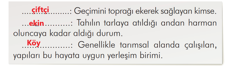 2. Sınıf Türkçe Ders Kitabı Sayfa 141 Cevapları İlke Yayıncılık