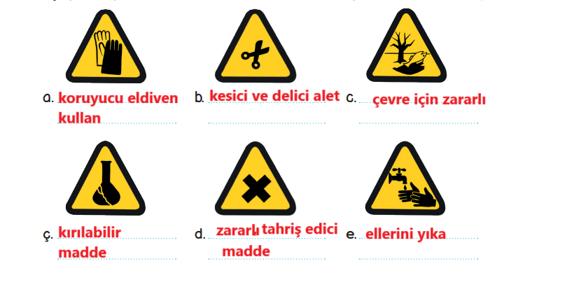 3. Sınıf Fen Bilimleri Ders Kitabı Sayfa 112 Cevapları MEB Yayınları