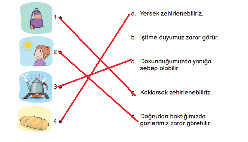 3. Sınıf Fen Bilimleri Ders Kitabı Sayfa 112 Cevapları MEB Yayınları