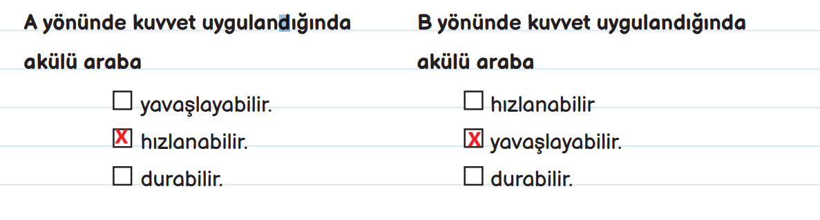 3. Sınıf Fen Bilimleri Ders Kitabı Sayfa 79 Cevapları MEB Yayınları