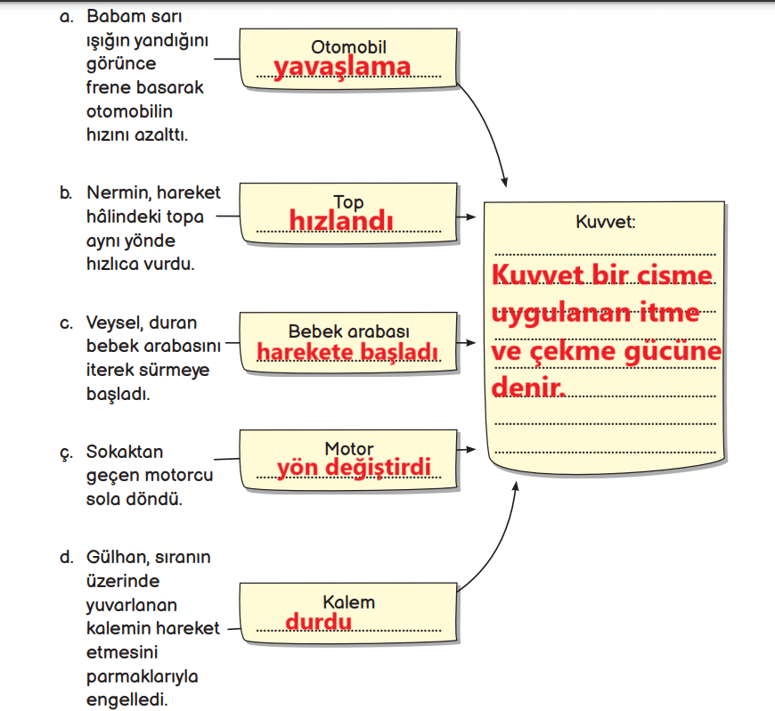 3. Sınıf Fen Bilimleri Ders Kitabı Sayfa 88 Cevapları MEB Yayınları