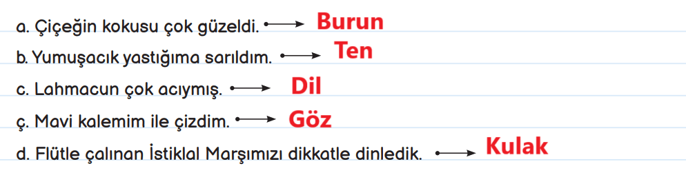 3. Sınıf Fen Bilimleri Ders Kitabı Sayfa 99 Cevapları MEB Yayınları