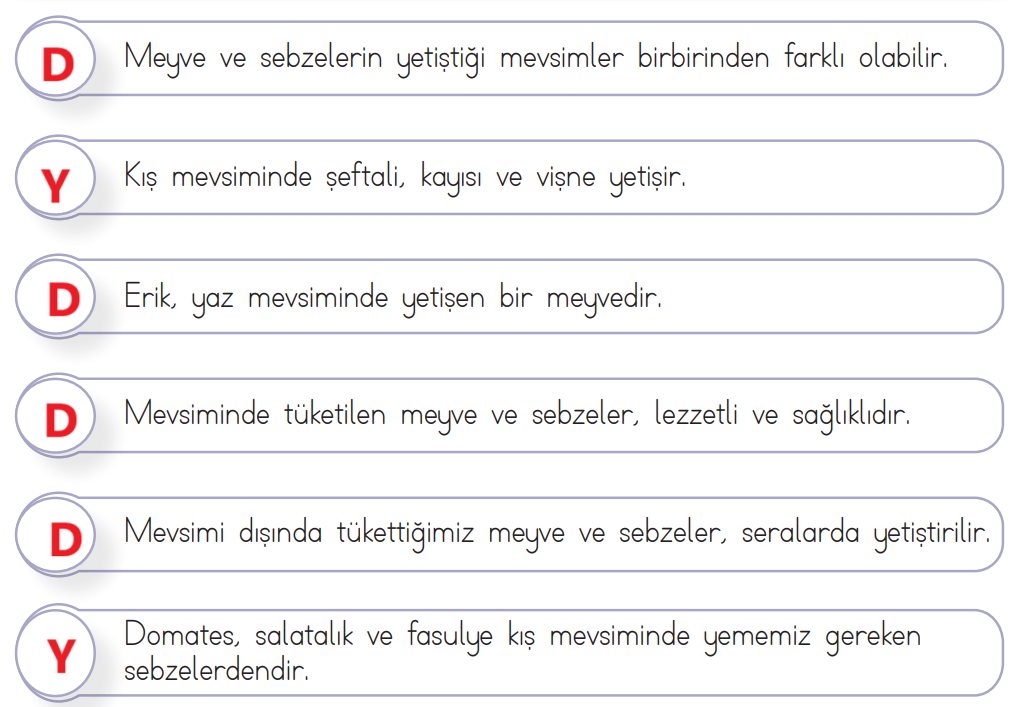 3. Sınıf Hayat Bilgisi Ders Kitabı Sayfa 101 Cevapları MEB Yayınları