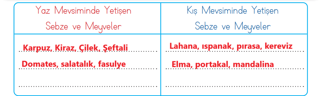 3. Sınıf Hayat Bilgisi Ders Kitabı Sayfa 101 Cevapları MEB Yayınları1