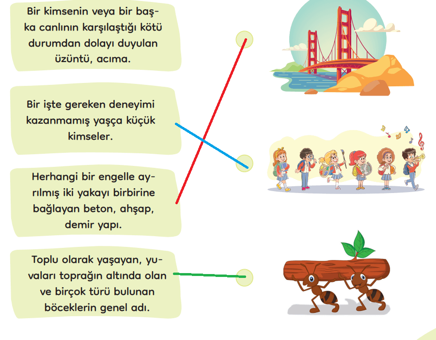 3. Sınıf Türkçe Ders Kitabı Sayfa 98-101-102-103-104-105. Cevapları MEB Yayınları