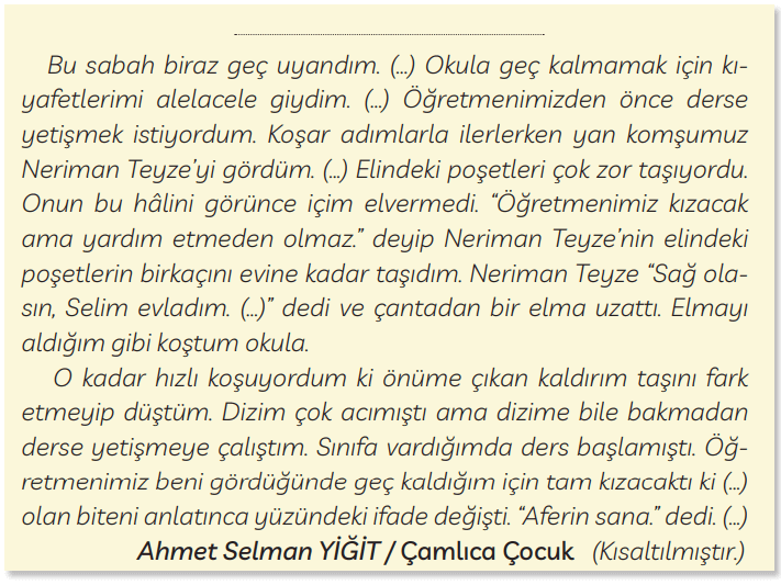 3. Sınıf Türkçe Ders Kitabı Sayfa 113 Cevapları MEB Yayınları