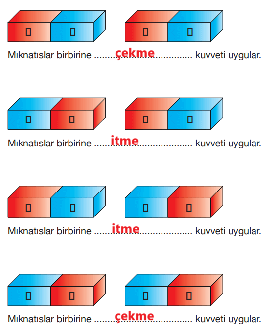 4. Sınıf Fen Bilimleri Ders Kitabı Sayfa 107 Cevapları Pasifik Yayınları