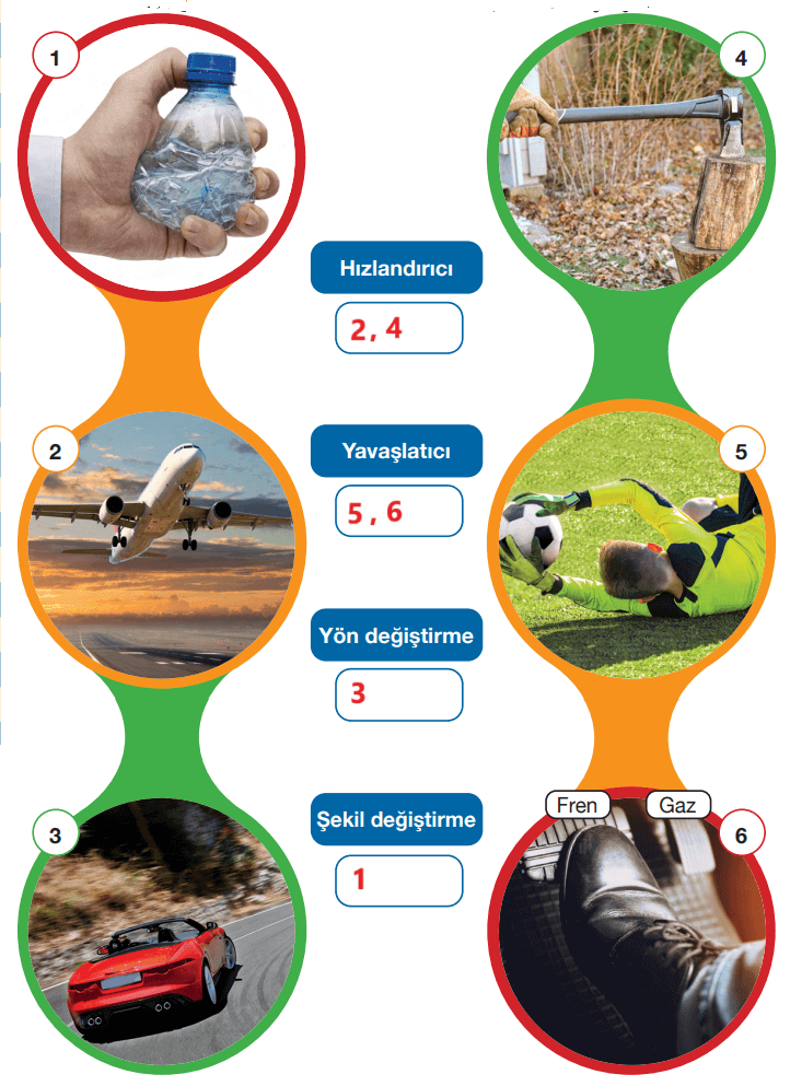 4. Sınıf Fen Bilimleri Ders Kitabı Sayfa 98 Cevapları Pasifik Yayınları