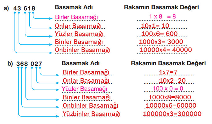 4. Sınıf Matematik Ders Kitabı Sayfa 29 Cevapları Pasifik Yayıncılık