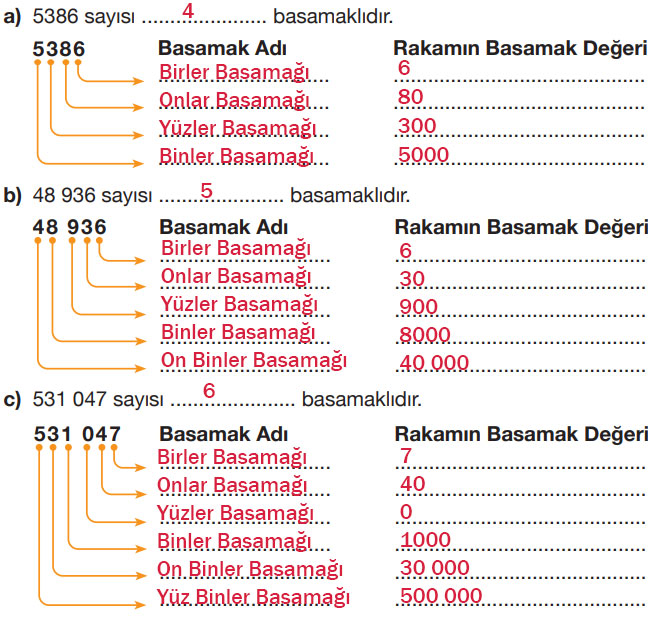 4. Sınıf Matematik Ders Kitabı Sayfa 58 Cevapları Pasifik Yayıncılık