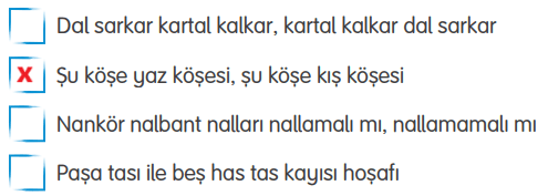 4. Sınıf Türkçe Ders Kitabı Sayfa 114 Cevapları Tuna Yayıncılık3