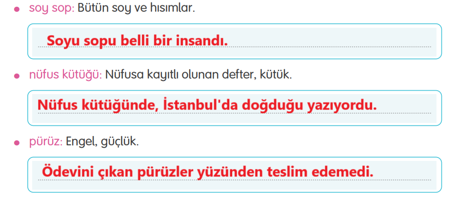 4. Sınıf Türkçe Ders Kitabı Sayfa 117 Cevapları Tuna Yayıncılık