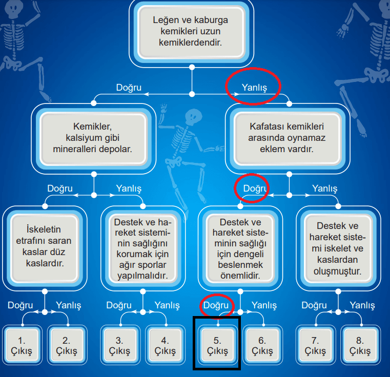 5. Sınıf Fen Bilimleri Ders Kitabı Sayfa 139 Cevapları MEB Yayınları