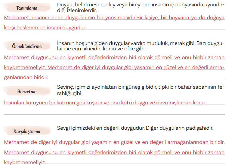 5. Sınıf Türkçe Ders Kitabı Sayfa 143 Cevapları MEB Yayınları