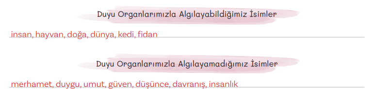 5. Sınıf Türkçe Ders Kitabı Sayfa 143 Cevapları MEB Yayınları1