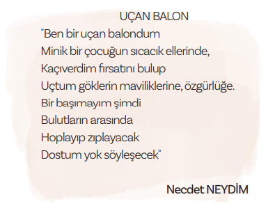 5. Sınıf Türkçe Ders Kitabı Sayfa 163 Cevapları MEB Yayınları