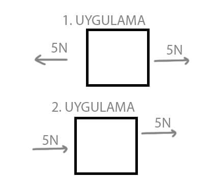 6. Sınıf Fen Bilimleri Ders Kitabı Sayfa  99 Cevapları GÜN Yayıncılık