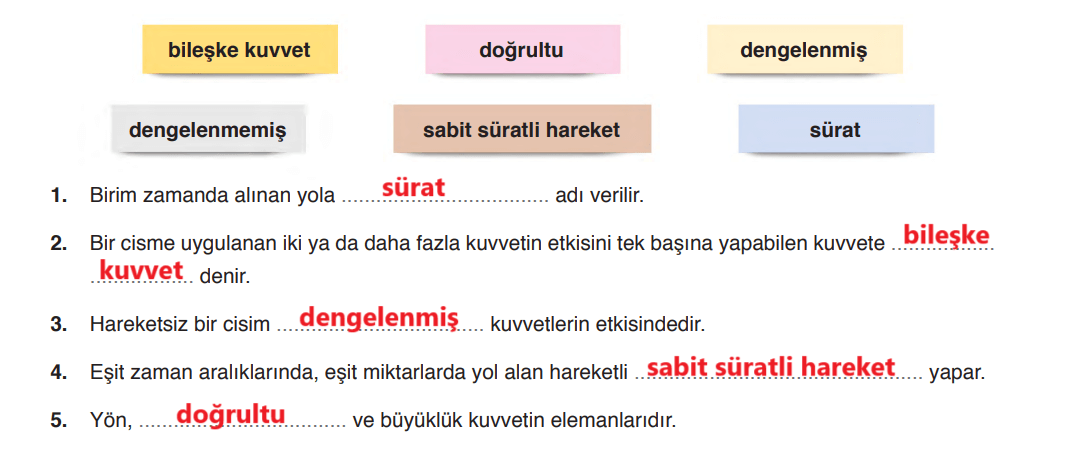 6. Sınıf Fen Bilimleri Ders Kitabı Sayfa  117 Cevapları GÜN Yayıncılık