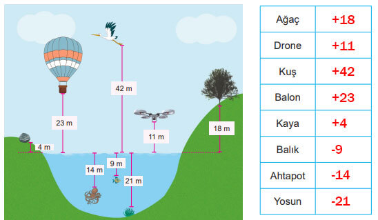 6. Sınıf Matematik Ders Kitabı Sayfa 80 Cevapları MEB Yayınları