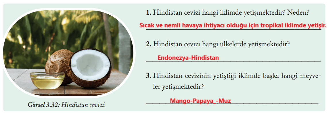 6. Sınıf Sosyal Bilgiler Ders Kitabı Sayfa 126 Cevapları EVOS Yayıncılık