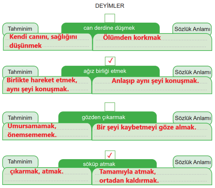 6. Sınıf Türkçe Ders Kitabı Sayfa 100 Cevapları MEB Yayınları