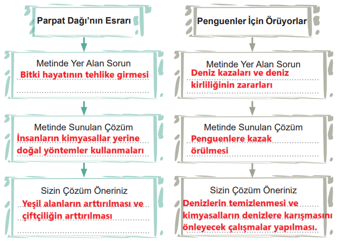 6. Sınıf Türkçe Ders Kitabı Sayfa 101 Cevapları MEB Yayınları1