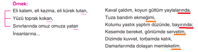 6. Sınıf Türkçe Ders Kitabı Sayfa 113 Cevapları Yıldırım Yayınları