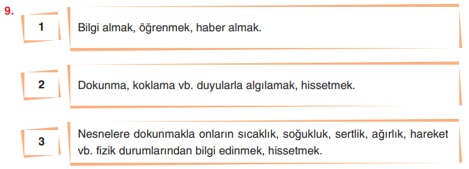 6. Sınıf Türkçe Ders Kitabı Sayfa 140 Cevapları Yıldırım Yayınları