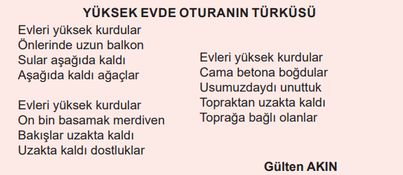 6. Sınıf Türkçe Ders Kitabı Sayfa 97 Cevapları MEB Yayınları