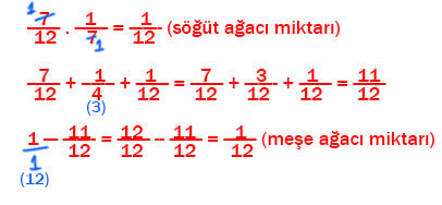 7. Sınıf Matematik Ders Kitabı Sayfa 99 Cevapları Edat Yayınları3