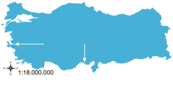 7. Sınıf Sosyal Bilgiler Ders Kitabı Sayfa 147 Cevapları Yıldırım Yayınları