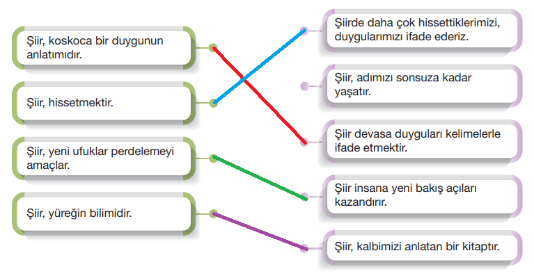 7. Sınıf Türkçe Ders Kitabı Sayfa 87 Cevapları Özgün Yayıncılık