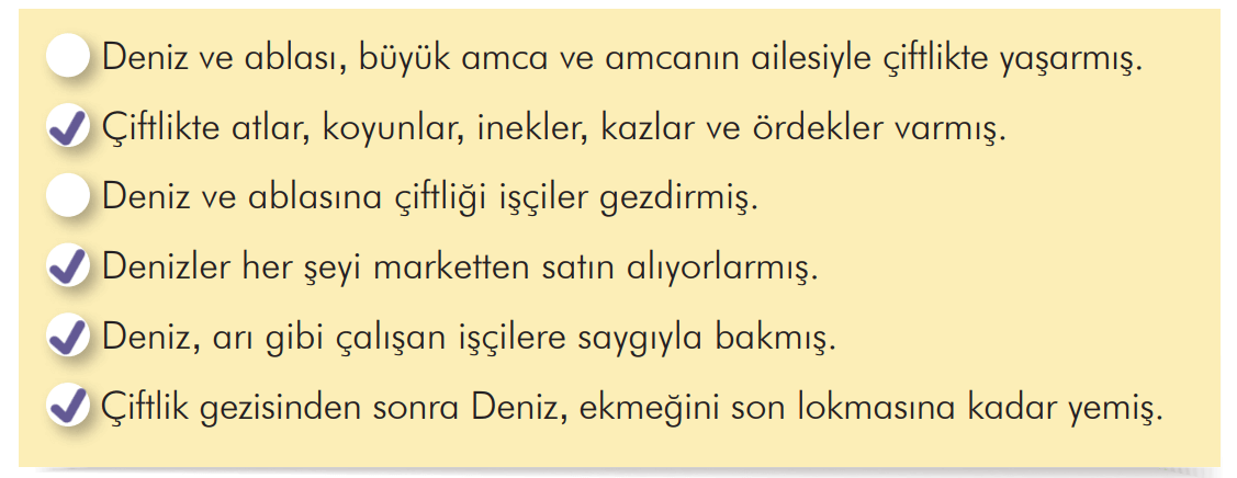 3. Sınıf Türkçe Ders Kitabı Sayfa 186 Cevapları İlke Yayıncılık