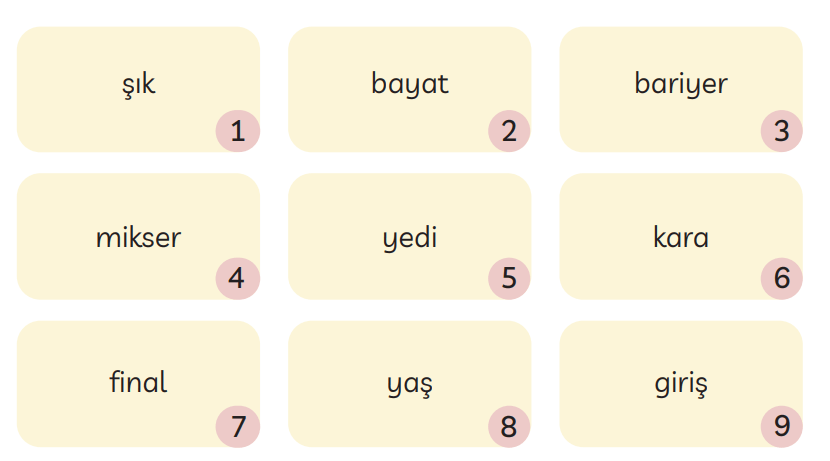 3. Sınıf Türkçe Ders Kitabı Sayfa 193 Cevapları MEB Yayınları