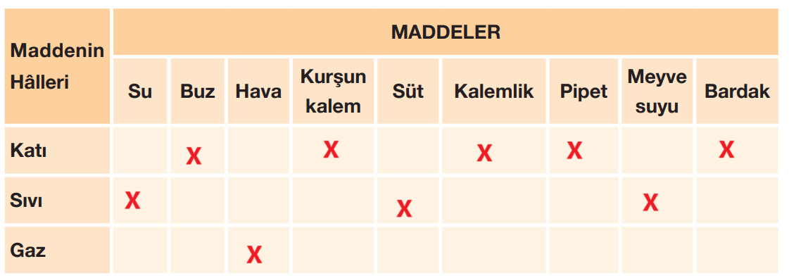 4. Sınıf Fen Bilimleri Ders Kitabı Sayfa 135 Cevapları Pasifik Yayınları