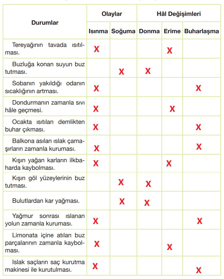 4. Sınıf Fen Bilimleri Ders Kitabı Sayfa 146 Cevapları Pasifik Yayınları