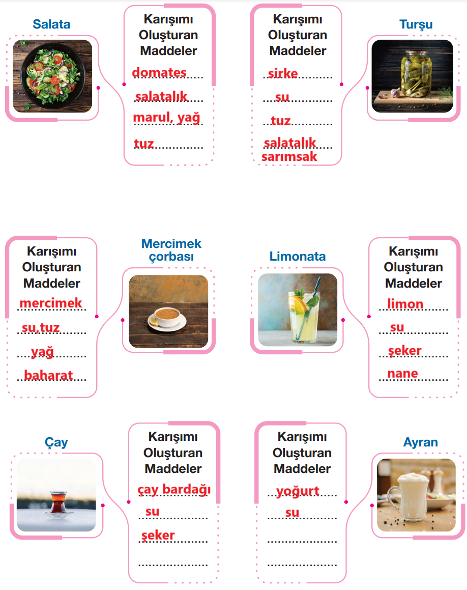 4. Sınıf Fen Bilimleri Ders Kitabı Sayfa 156 Cevapları Pasifik Yayınları