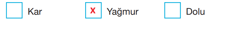 4. Sınıf Fen Bilimleri Ders Kitabı Sayfa 160 Cevapları Pasifik Yayınları