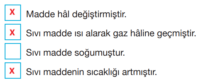 4. Sınıf Fen Bilimleri Ders Kitabı Sayfa 161 Cevapları Pasifik Yayınları