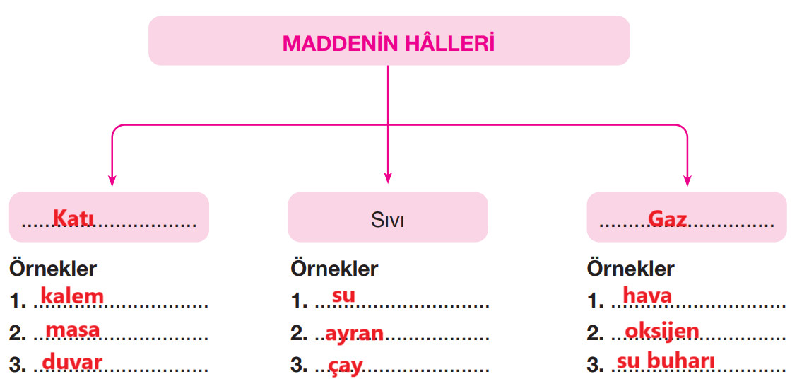 4. Sınıf Fen Bilimleri Ders Kitabı Sayfa 163 Cevapları Pasifik Yayınları