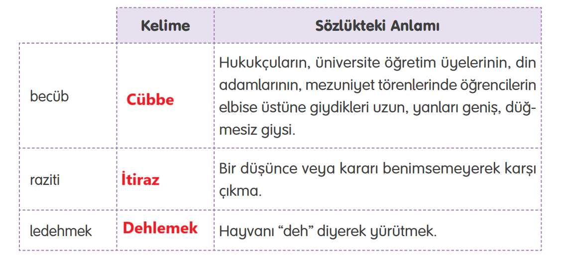 4. Sınıf Türkçe Ders Kitabı Sayfa 146 Cevapları Tuna Yayıncılık