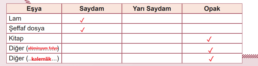 5. Sınıf Fen Bilimleri Ders Kitabı Sayfa 28 Cevapları MEB Yayınları