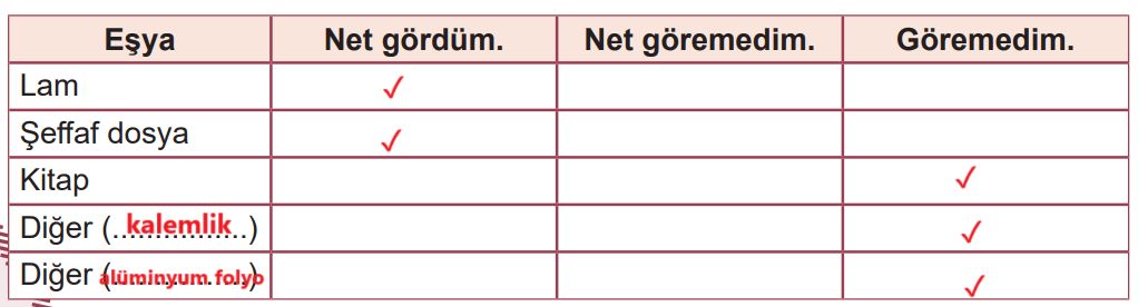 5. Sınıf Fen Bilimleri Ders Kitabı Sayfa 28 Cevapları MEB Yayınları