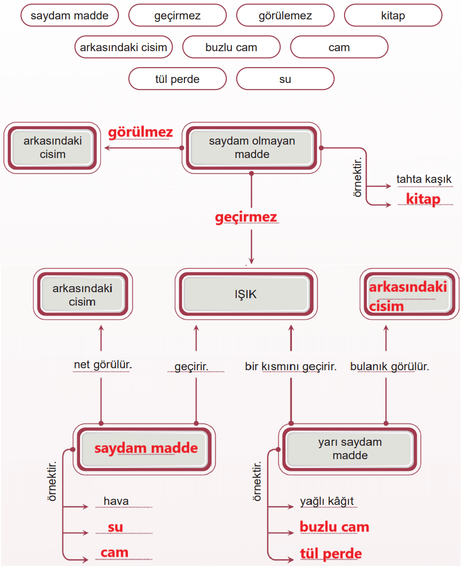 5. Sınıf Fen Bilimleri Ders Kitabı Sayfa 33 Cevapları MEB Yayınları