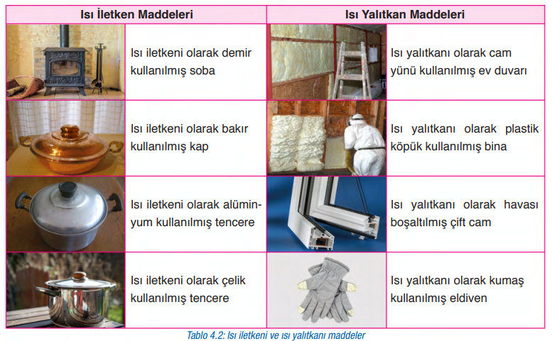 6. Sınıf Fen Bilimleri Ders Kitabı Sayfa  147 Cevapları GÜN Yayıncılık