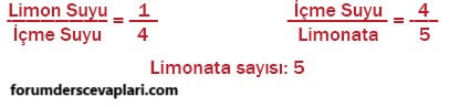 6. Sınıf Matematik Ders Kitabı Sayfa 176 Cevapları Doğa Yayıncılık4