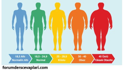 6. Sınıf Matematik Ders Kitabı Sayfa 177 Cevapları Doğa Yayıncılık