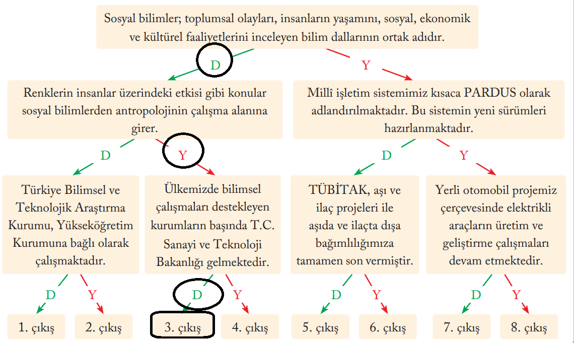 6. Sınıf Sosyal Bilgiler Ders Kitabı Sayfa 141 Cevapları EVOS Yayıncılık