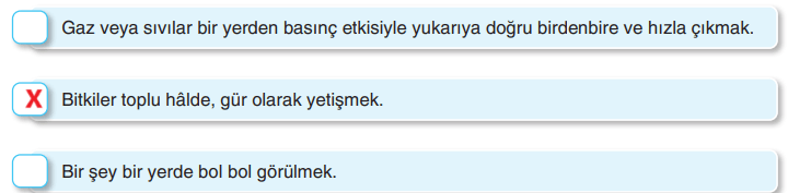 6. Sınıf Türkçe Ders Kitabı Sayfa 145 Cevapları Yıldırım Yayınları