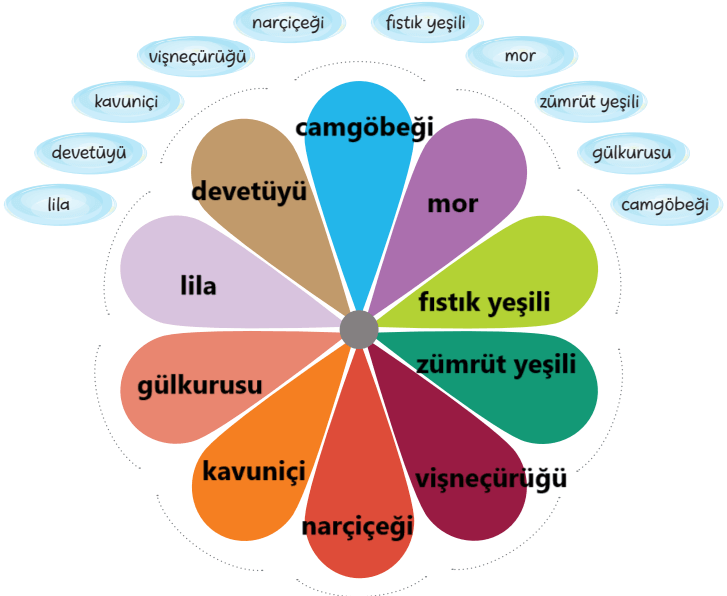 6. Sınıf Türkçe Ders Kitabı Sayfa 146 Cevapları Yıldırım Yayınları